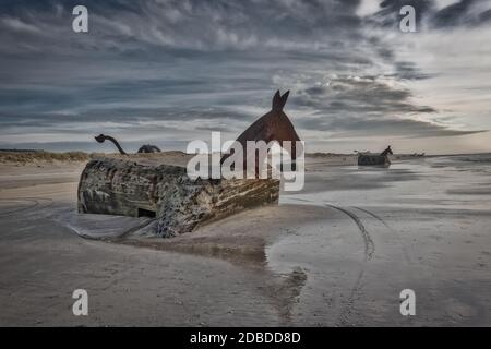 Bunker Maultiere Pferde am Blaavand Strand, Nordseeküste, Dänemark Stockfoto
