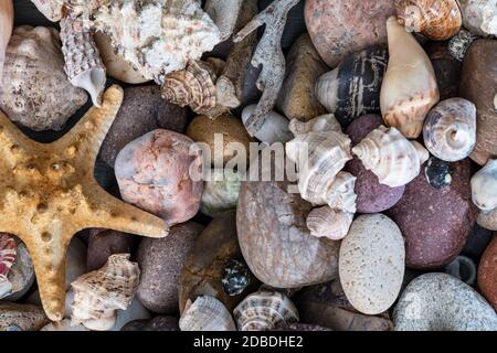 Viele Schnecken und Steine in Luftaufnahme Stockfoto