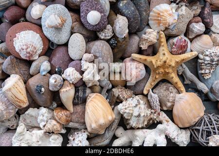 Viele Schnecken und Steine in Luftaufnahme Stockfoto