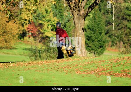 Alte Leute spielen eine Partie Golf, Bäume, braun und gelb Laub auf dem grünen Rasen Stockfoto