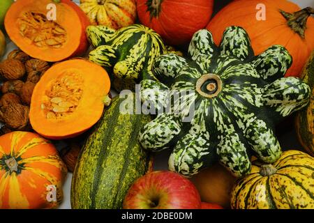 Viele verschiedene Kürbisse auf einem Holztisch Stockfoto