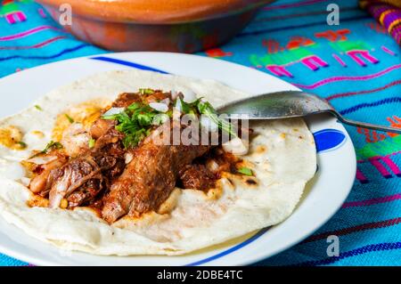 Traditionelles Rindfleisch Birria Eintopf, mexikanische Küche aus Jalisco Staat. Serviert mit frischen Zwiebeln, Koriander und Maistortillas. Ein beliebtes Frühstück und Kater Stockfoto