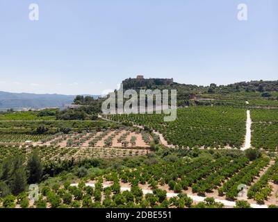 Aerial Fernansicht Montesa Burg auf der Spitze des Hügels und landwirtschaftlichen Feldern, Valencia, Spanien Stockfoto