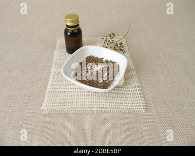 Ätherisches Dillöl in einer Flasche und Dillsamen in einer Schüssel Stockfoto
