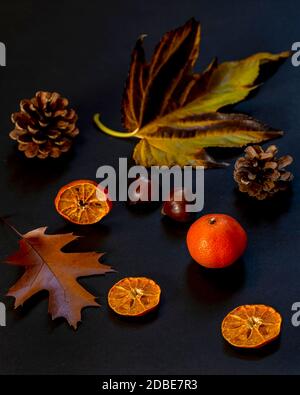 Stillleben Komposition mit trockenen Herbstblättern, Tannenzapfen, Mandarine, Kastanien und getrockneten Zitrusscheiben auf schwarzem Hintergrund Stockfoto