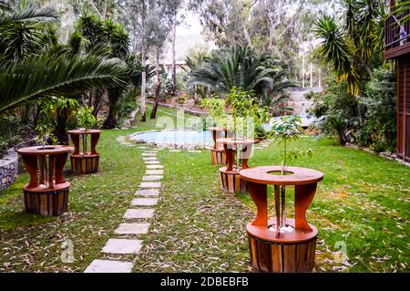 Tropischer Garten mit Palmen und Holztischen auf der Insel Kreta in Griechenland Stockfoto