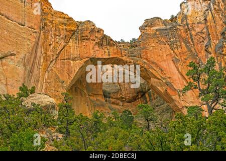 La Ventana Natural Arch versteckt in einem Sandstein Canyon im El Malpais National Monument in New Mexico Stockfoto