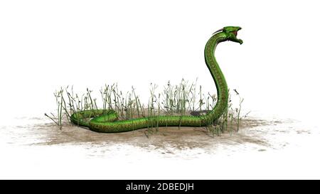 Grüne Schlange im Gras auf weißem Hintergrund Stockfoto