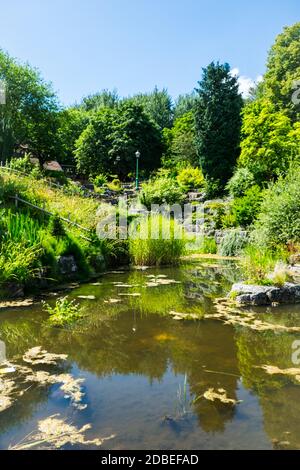 Blick auf die Teiche und Rasenflächen im Japanese Garden in Avenham und Miller Park, Preston Stockfoto