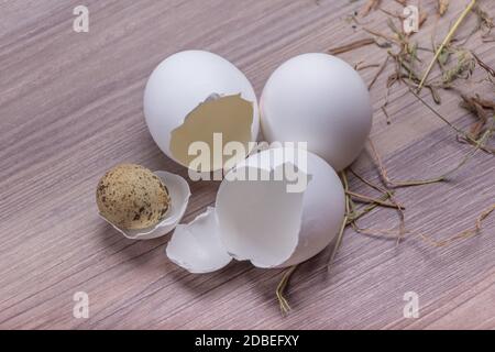 Frohe ostern Korb Dekoration Szene. Traditionelle handgemachte Osternest Deko mit Stroh und weißem Ei für festliche Feiertagsfeier. Stockfoto