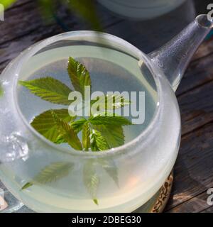 Brombeerblätter-Tee, Brombeerblätter, Brombeer-Blätter, Tee aus Brombeerblätter, Blätter, Blatt, Kräutertee, Heiltee, Blätter, Brombeere, Br Stockfoto