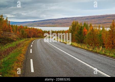 Panoramablick entlang der Straße zum Lagarfljot Fluss im Osten Island Stockfoto