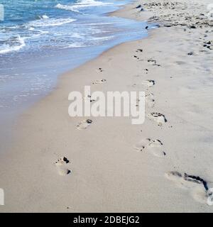 Fußabdrücke am Strand der polnischen Ostseeküste bei Rewal Stockfoto