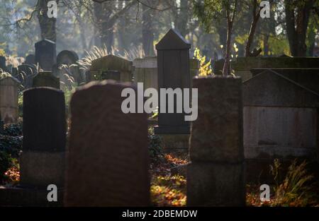 Magdeburg, Deutschland. November 2020. Grabsteine auf dem jüdischen Friedhof. Quelle: Klaus-Dietmar Gabbert/dpa-Zentralbild/ZB/dpa/Alamy Live News Stockfoto