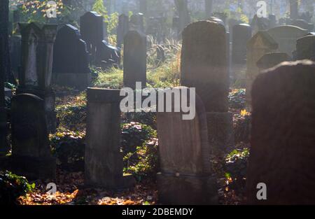 Magdeburg, Deutschland. November 2020. Grabsteine auf dem jüdischen Friedhof. Quelle: Klaus-Dietmar Gabbert/dpa-Zentralbild/ZB/dpa/Alamy Live News Stockfoto