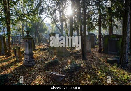 Magdeburg, Deutschland. November 2020. Grabsteine auf dem jüdischen Friedhof. Quelle: Klaus-Dietmar Gabbert/dpa-Zentralbild/ZB/dpa/Alamy Live News Stockfoto