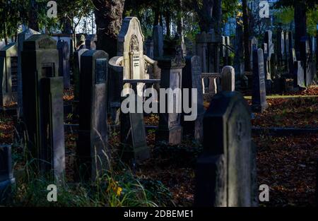 Magdeburg, Deutschland. November 2020. Grabsteine auf dem jüdischen Friedhof. Quelle: Klaus-Dietmar Gabbert/dpa-Zentralbild/ZB/dpa/Alamy Live News Stockfoto