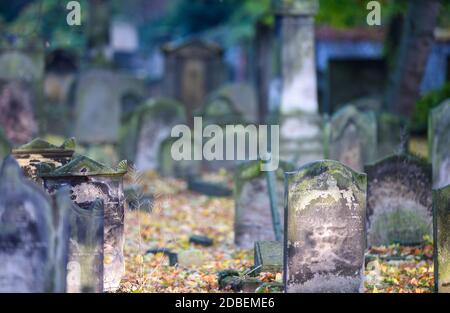 Magdeburg, Deutschland. November 2020. Verwitterte Grabsteine auf dem jüdischen Friedhof. Quelle: Klaus-Dietmar Gabbert/dpa-Zentralbild/ZB/dpa/Alamy Live News Stockfoto