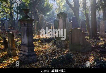 Magdeburg, Deutschland. November 2020. Grabsteine auf dem jüdischen Friedhof. Quelle: Klaus-Dietmar Gabbert/dpa-Zentralbild/ZB/dpa/Alamy Live News Stockfoto