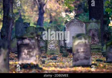 Magdeburg, Deutschland. November 2020. Verwitterte Grabsteine auf dem jüdischen Friedhof. Quelle: Klaus-Dietmar Gabbert/dpa-Zentralbild/ZB/dpa/Alamy Live News Stockfoto