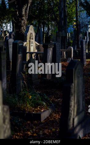 Magdeburg, Deutschland. November 2020. Grabsteine auf dem jüdischen Friedhof. Quelle: Klaus-Dietmar Gabbert/dpa-Zentralbild/ZB/dpa/Alamy Live News Stockfoto