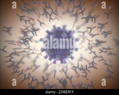 Immunologisches System, Antikörper, die das Virus Covid-19 angreifen. 3D-Darstellung, Konzept des Abwehrsystems des Körpers. Y-förmiger Antikörper, der den angreift Stockfoto