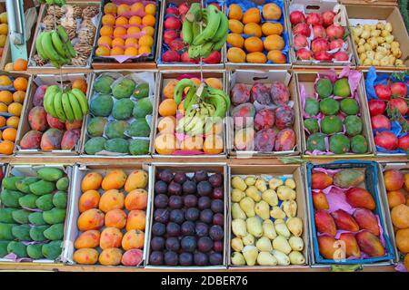 Obst wird in Tablett von Straßenhändler verkauft. Obsttabletts für den Verkauf von Mangos, Granatäpfel, Bananen, Pflaumen, Guave, Orangen. Frisches Obst im Geschäft. Stockfoto