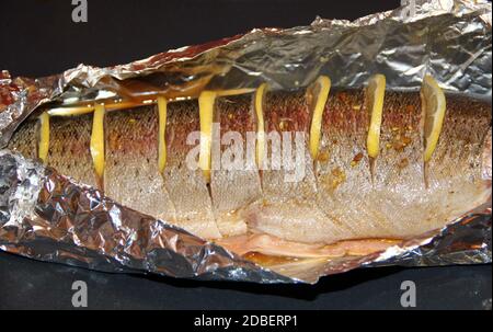 Regenbogenforelle Fisch auf bereit zum Kochen mit Zitrone. Frische Forelle mit geschnittenen Zitronenstücken in Folie bereit zum Kochen. Leckeres Fischgericht Stockfoto