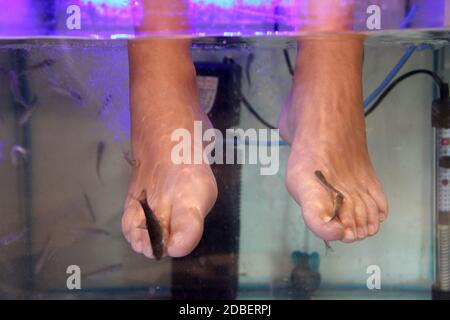 Junge Frau erhält Massage mit kleinen Fischen. Peeling mit Fisch. Mädchen genießen medizinische Verfahren. Fußmassage mit Fischen im Aquarium aus der Nähe. Fis Stockfoto