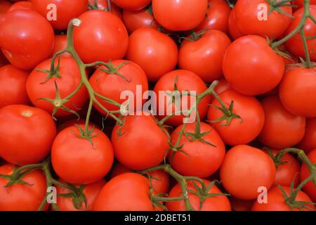 Tomaten auf dem Markt für Obst und Gemüse Naschmarkt in Wien - Österreich. Stockfoto