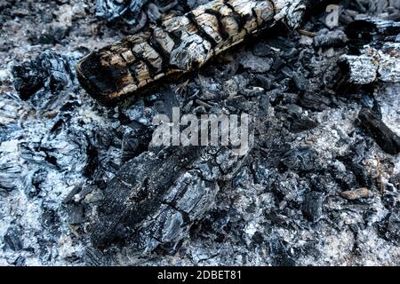 Verkohltes Holz und Asche in Nahaufnahme Stockfoto