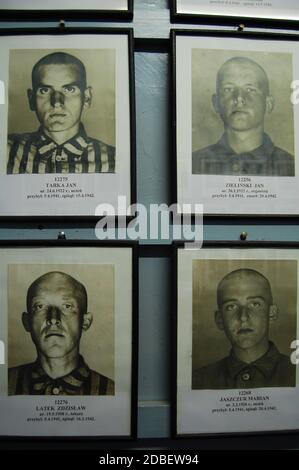 Fotos von männlichen Häftlingen im Museum des Konzentrationslagers Auschwitz Stockfoto