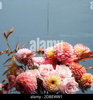 Florale Komposition von Dahlia Blumen, Rosen und Blätter im Herbst. Arty, leuchtend rot und rosa Blumenstrauß auf blauem Hintergrund Stockfoto