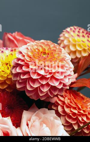 Florale Komposition von Dahlia Blumen, Rosen und Blätter im Herbst. Arty, leuchtend rot und rosa Blumenstrauß auf blauem Hintergrund Stockfoto