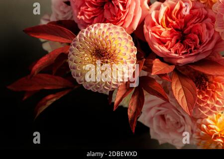 Florale Komposition aus Dahlia-Blüten, Rosen und Herbstblättern. Arty, leuchtend rot und rosa Farbe Bouquet von Blumen auf dunklem Hintergrund Stockfoto