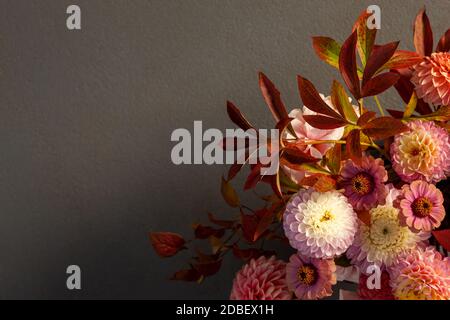 Florale Komposition aus Dahlia-Blüten, Rosen und Herbstblättern. Arty, leuchtend rot und rosa Farbe Bouquet von Blumen auf dunklem Hintergrund Stockfoto
