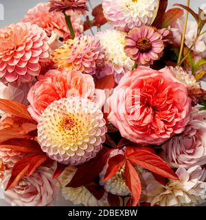 Florale Komposition aus Dahlia-Blüten, Rosen und Herbstblättern. Arty, leuchtend rot und rosa Farbe Bouquet von Blumen auf dunklem Hintergrund Stockfoto