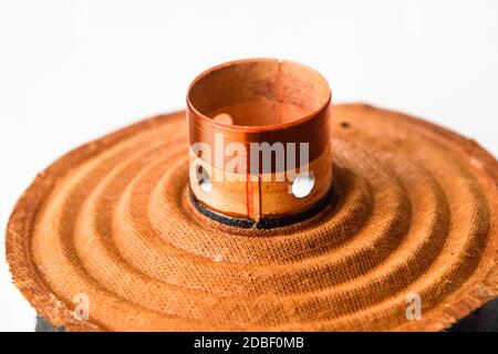 Das bewegliche System des Mitteltöners 20gds-3 der sowjetischen Produktion. Diffusor und Magnetspulenlautsprecher. Stockfoto