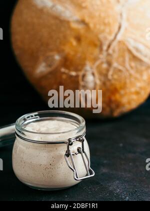 Sauerteig Vorspeise und Weizensauerteig Brot. Weizensauerteig Starter im Glas und leckere hausgemachte runde Sauerteig Brot auf schwarzem Hintergrund. Ho Stockfoto