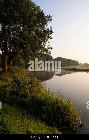 Der Bakkerskil Bach im niederländischen Nationalpark De Biesbosch Stockfoto