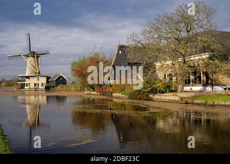 Bauernhöfe und Windmühle De Vriendschap entlang des Flusses Graafstroom im niederländischen Dorf Bleskensgraaf Stockfoto