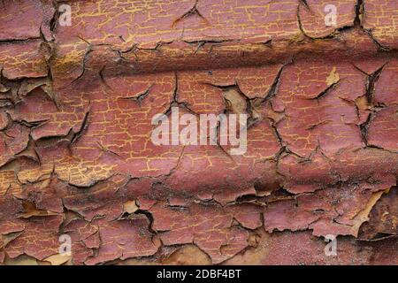 Verschiedene Schichten von Farbe und Rost Stockfoto