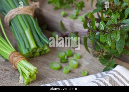 Frische grüne Kräuter, perfekt für Kochen, Küche und Koch Projekte Stockfoto