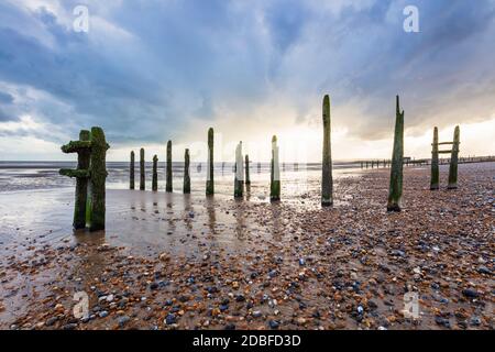 Verfaulende, aufrecht stehende Holzpfosten alter Meeresverteidigungen am Strand von Winchelsea, Winchelsea, East Sussex, England, Großbritannien, Europa Stockfoto