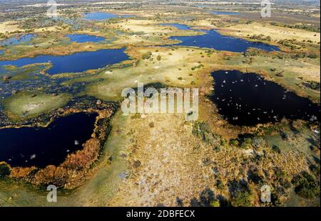 Okavango Delta , Botwana, Afrika Stockfoto