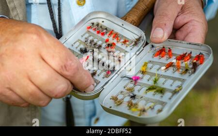 Halten Sie eine Kiste mit Fischen Fliegen oder Köder für Fliegenfischen verwendet, Nahaufnahme Stockfoto