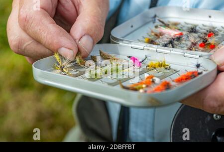 Halten Sie eine Kiste mit Fischen Fliegen oder Köder für Fliegenfischen verwendet, Nahaufnahme Stockfoto