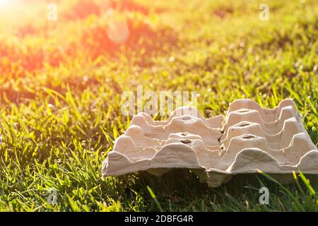 Eierbecher auf dem Gras im Abendlicht gebadet. Stockfoto