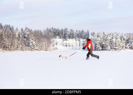 Running man Walking Hund hat Spaß im Freien auf Schnee auf Heller Wintertag Stockfoto