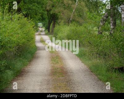 Frühling im deutschen Münsterland Stockfoto